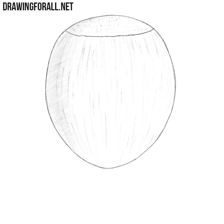 How to Draw a Chestnut