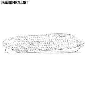 How to draw a corn