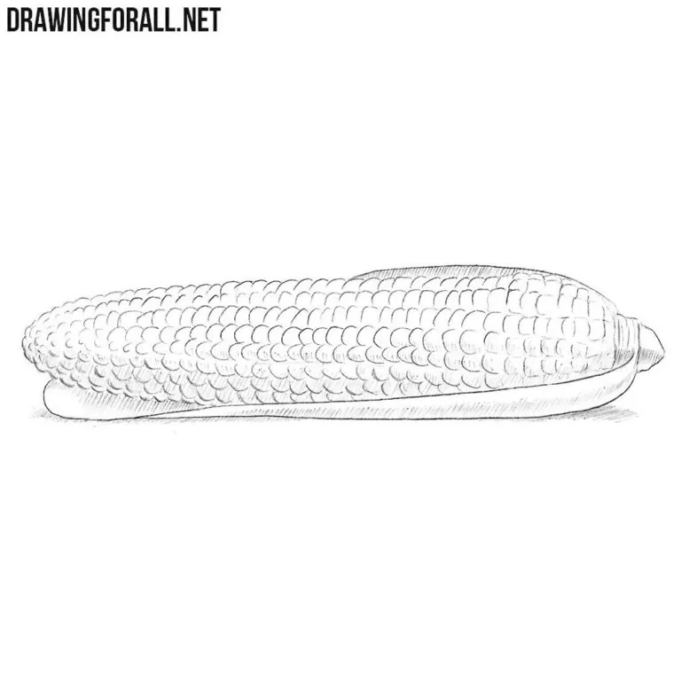 How to draw a corn