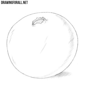 How to draw a cranberry