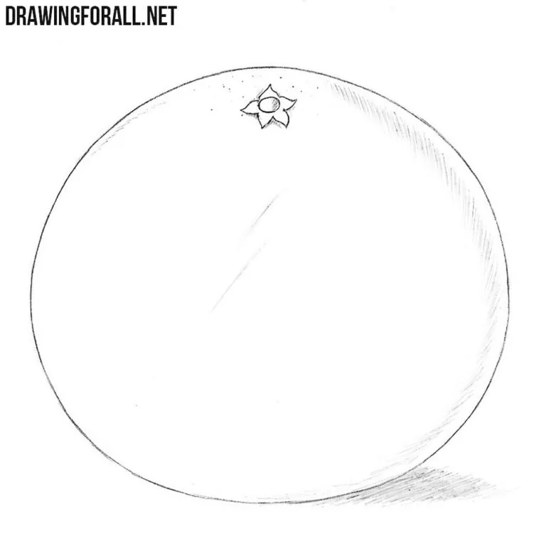 How to Draw a Grapefruit