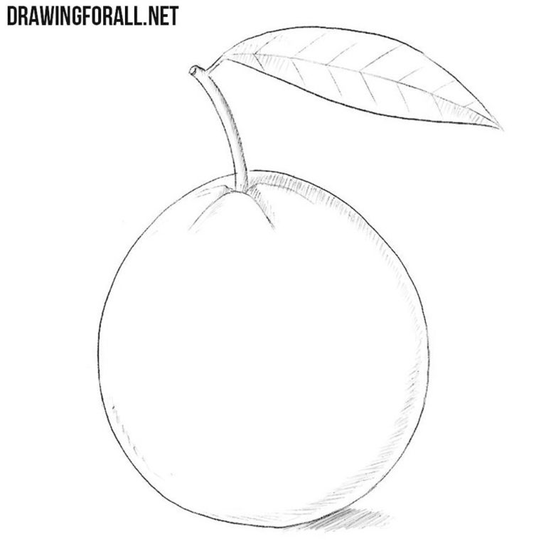 How to Draw a Guava