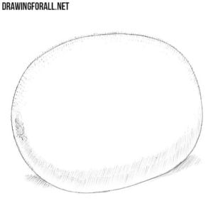 How to Draw a Kiwi