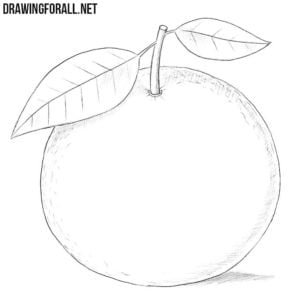 How to draw a mandarin