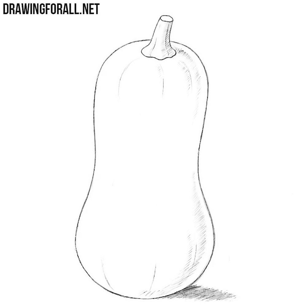 Animal Squash Sketch Drawing with simple drawing