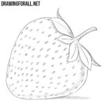 How to Draw a Strawberry Step by Step