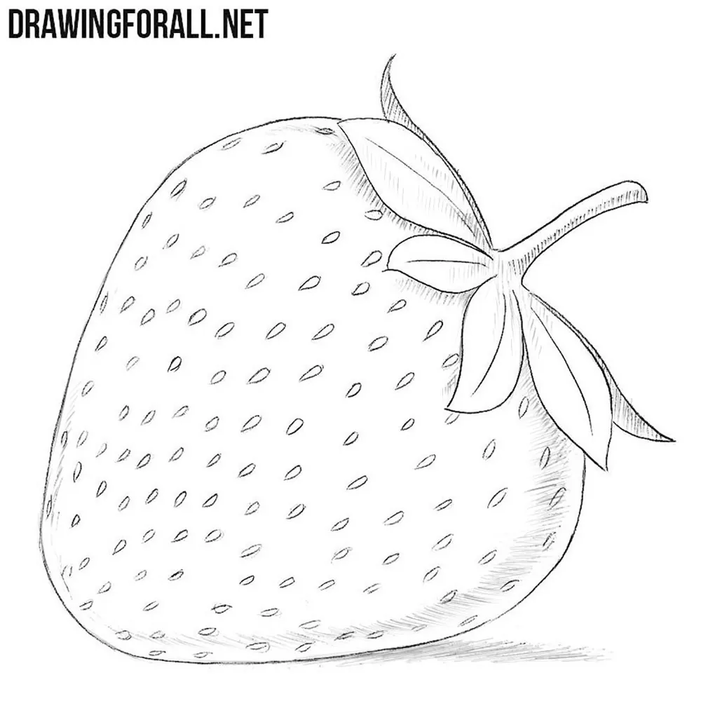 How To Draw A Strawberry