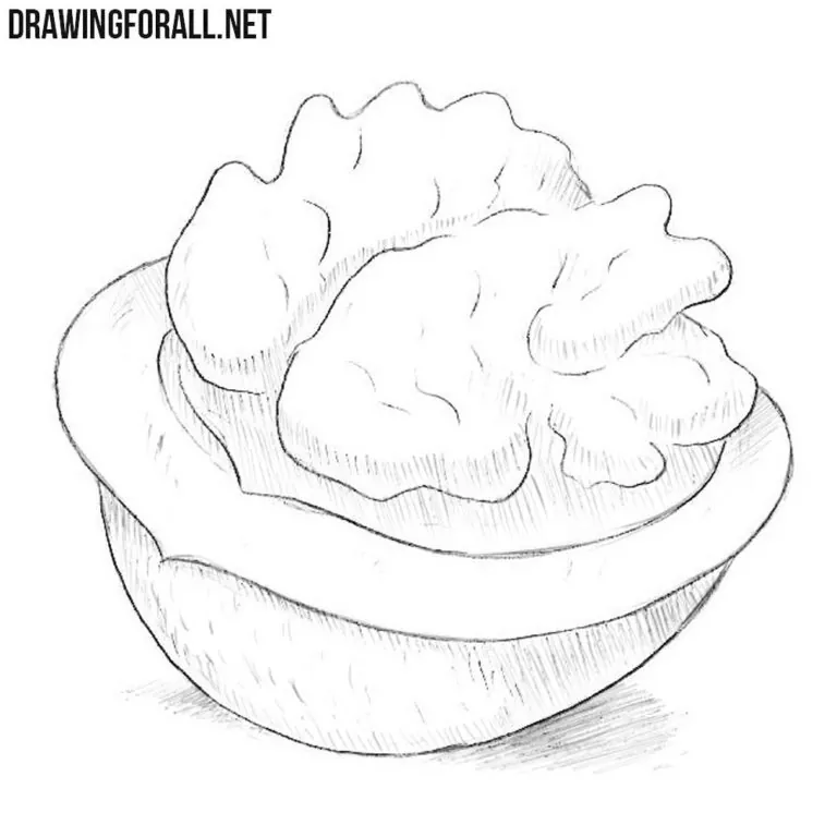 How to Draw a Walnut