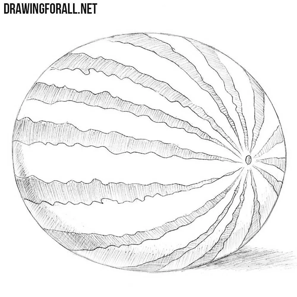 Featured image of post Watermelon Drawing Realistic This look is easily achieved by simply understanding the principles