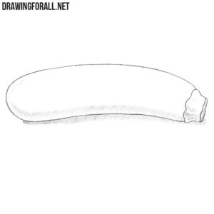 How to draw a zucchini