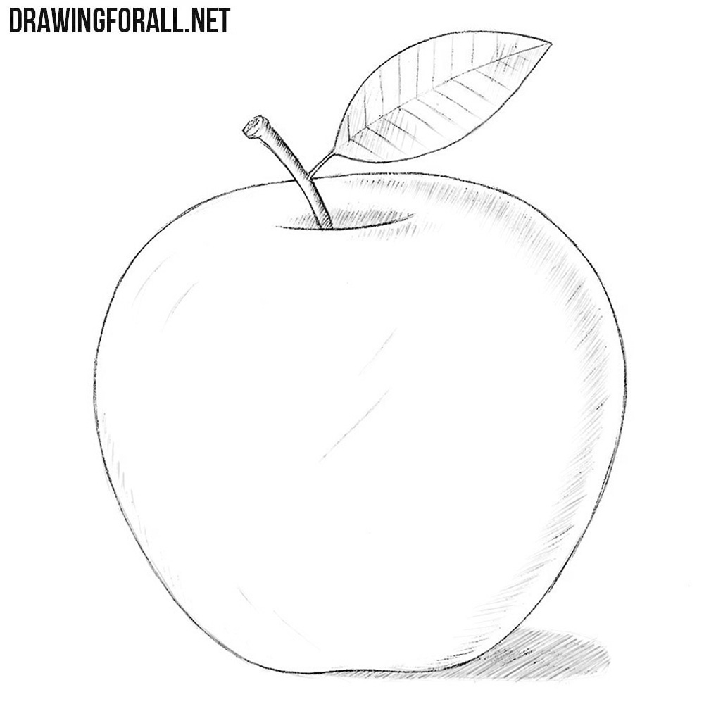 How to draw a realistic Apple with Pencil