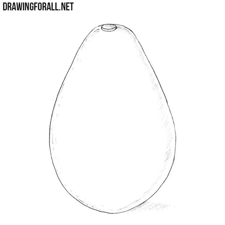 How to Draw an Avocado
