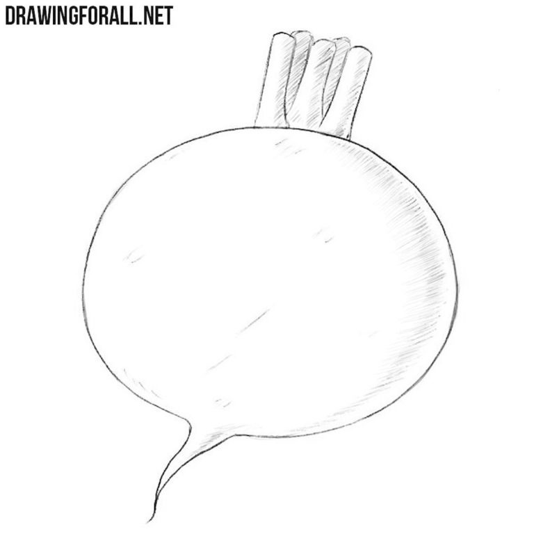 How to Draw a Turnip