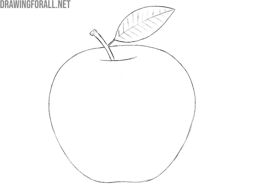 Draw the veins on the apple leaf