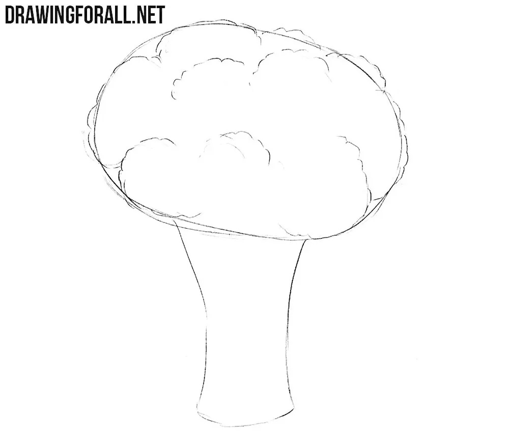 Divide the crown into smaller clusters