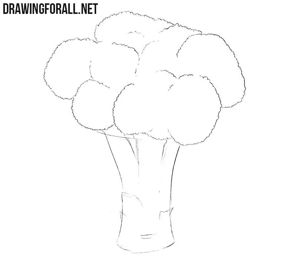 Refine the broccoli crown contours