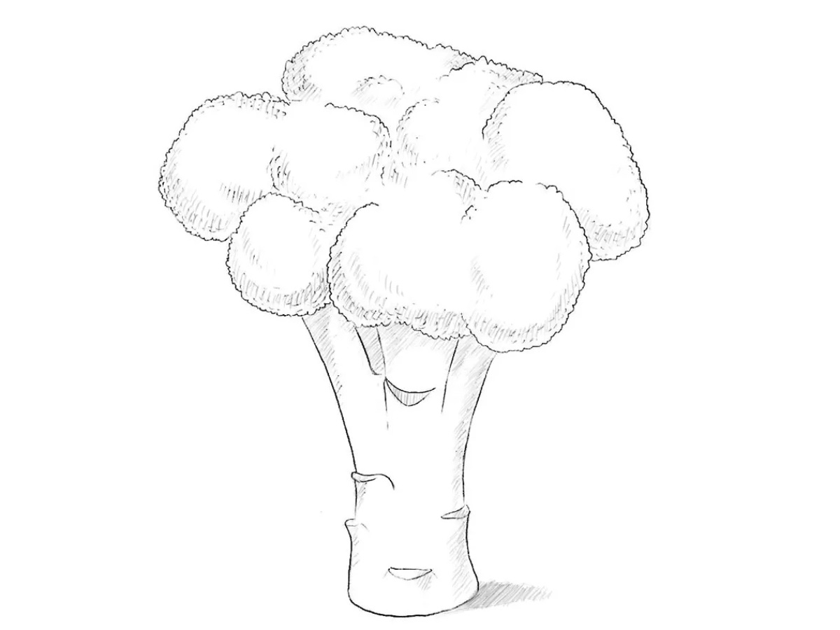 how to draw a broccoli featured image