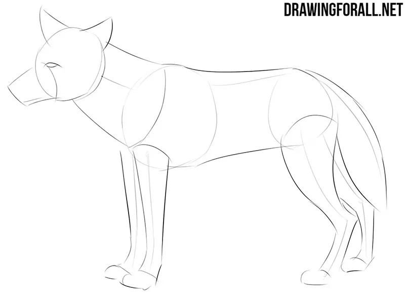 How to draw a manga animal