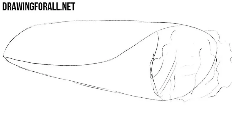 How to draw a shawarma easy