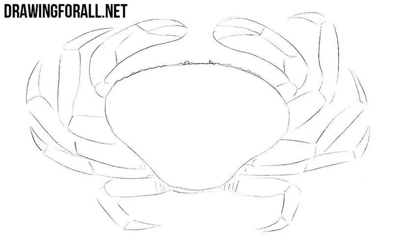 How to draw a crab easy
