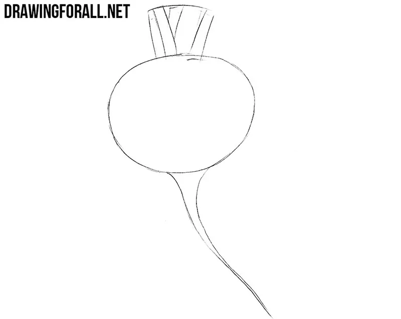 How to draw a radish easy