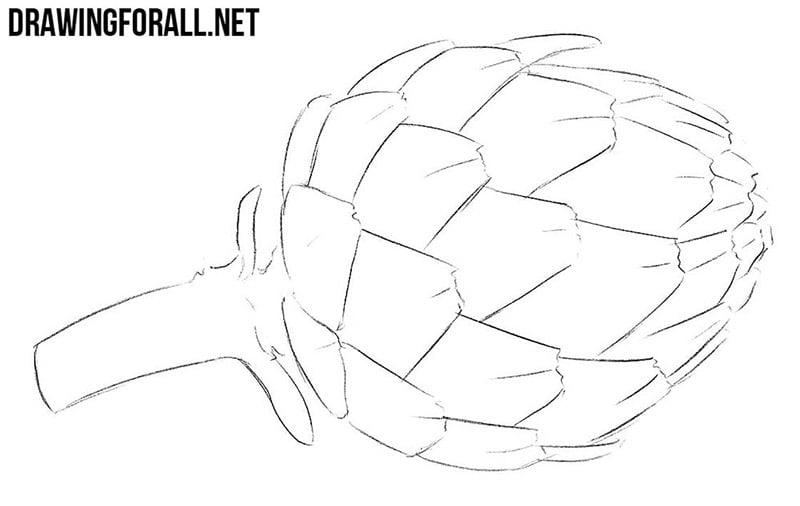 How to draw an artichoke easy