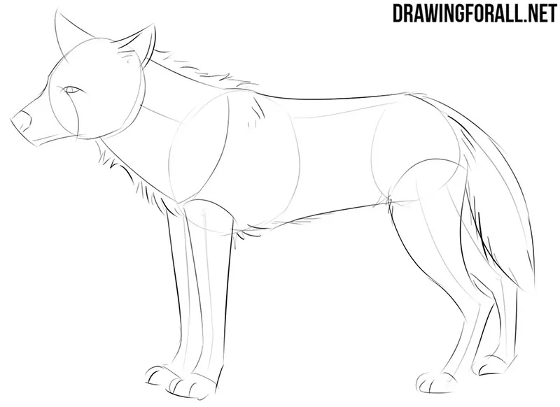 How to sketch an anime animal