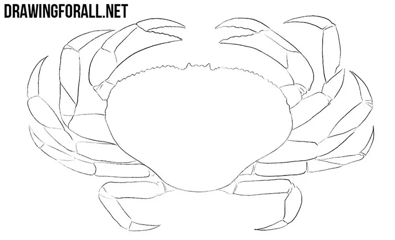 Crab drawing lesson