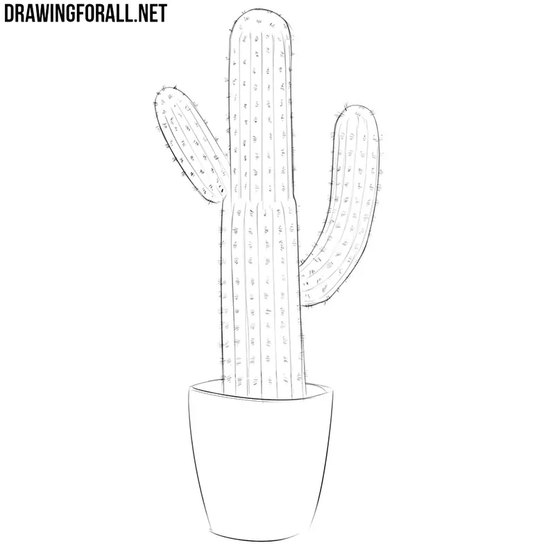 How to draw a cactus step by step