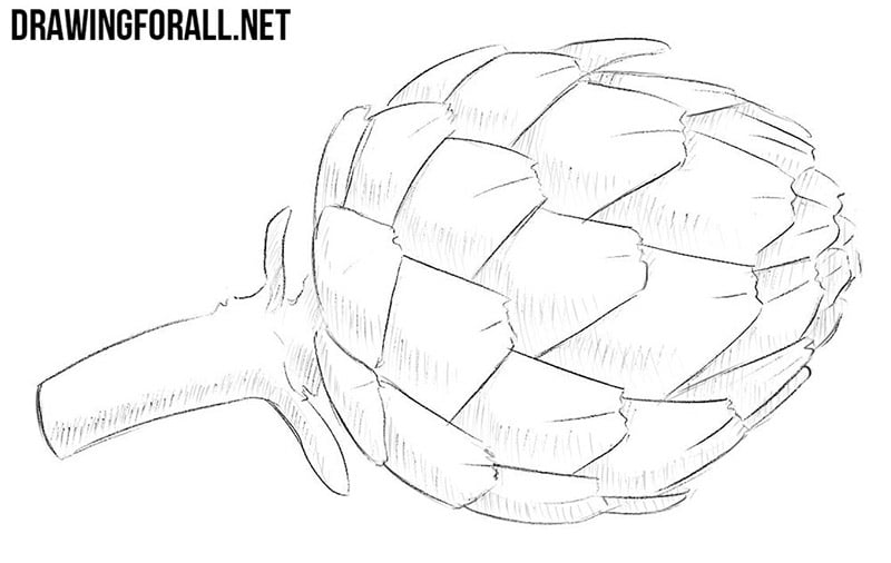 How to draw an artichoke