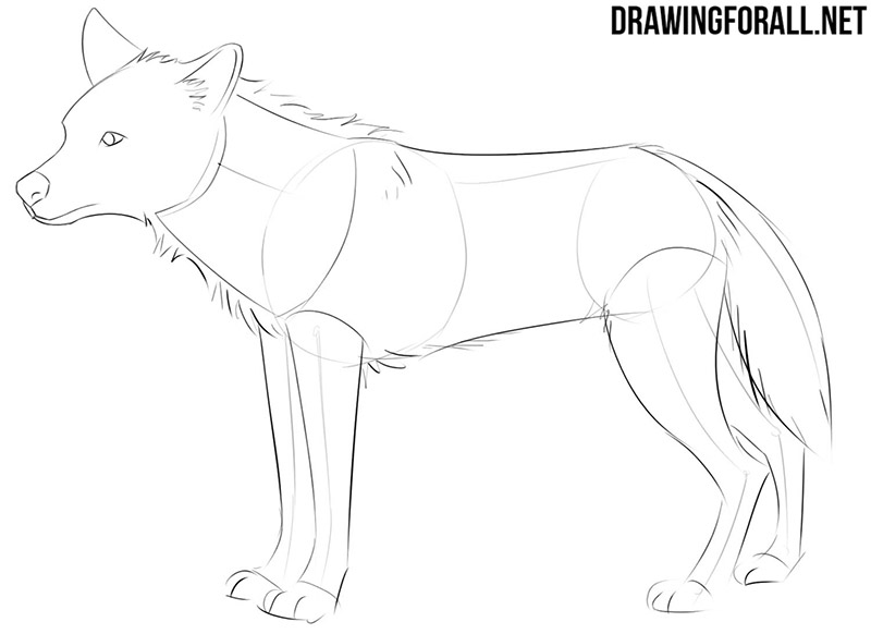 How to draw anime animals