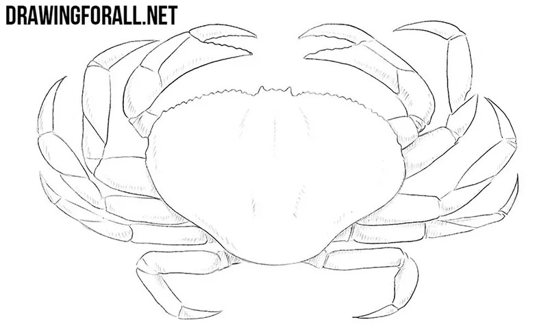 How to draw a crab