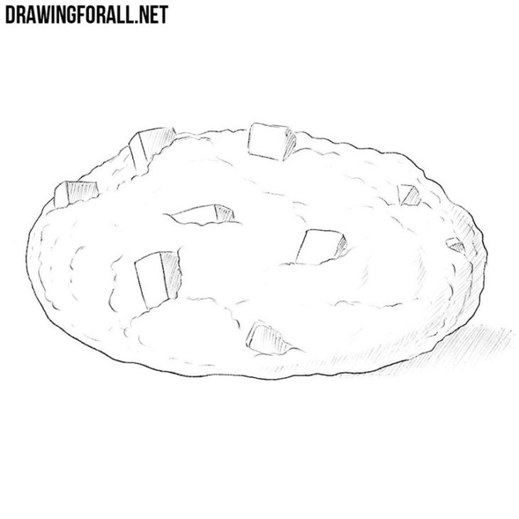 How to draw a cookie | Drawingforall.net