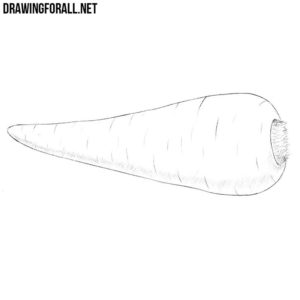 How to draw a vegetable