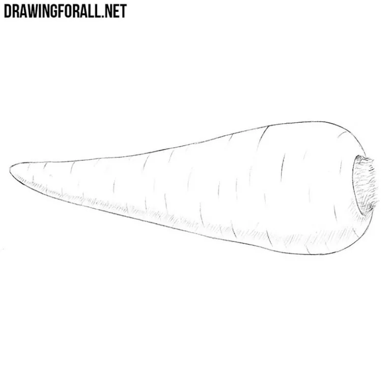 How to draw a vegetable