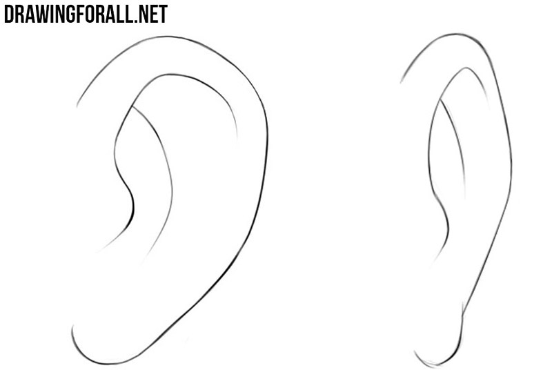 How to draw anime ears step by step