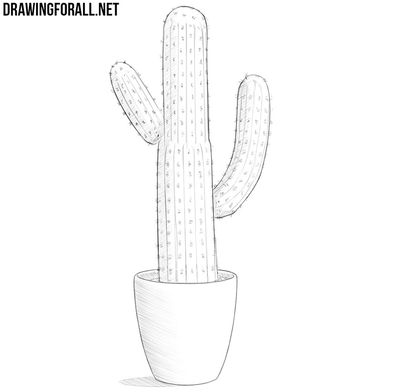 Finished cactus drawing in a flower pot with spines, grooves, and hatching.