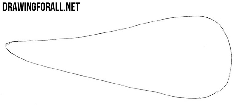 Sketching the basic parsnip outline with very light pencil lines.