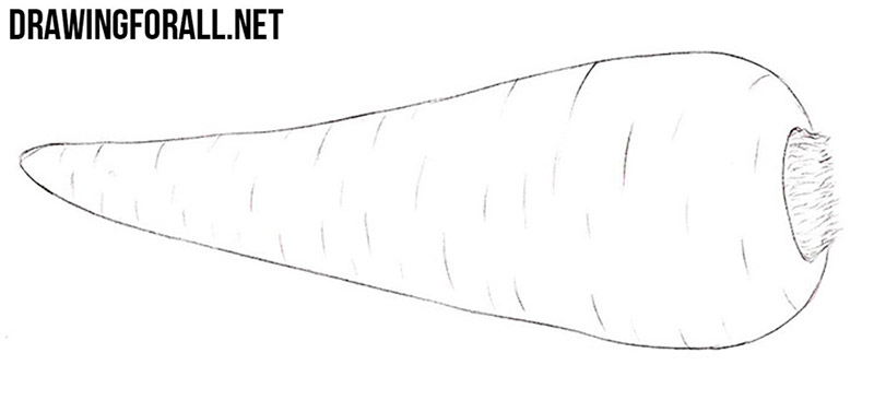 Refining the parsnip texture, drawing the thin root tip, and cleaning up the final contours.