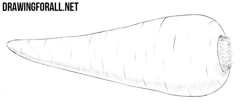 Finished parsnip drawing with surface texture, hatching, and a cast shadow.