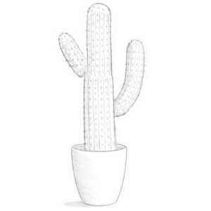 How to Draw a Cactus