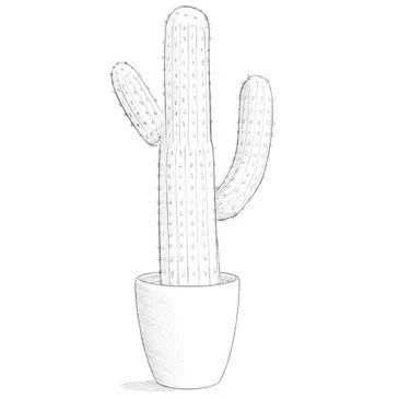 How to Draw a Cactus