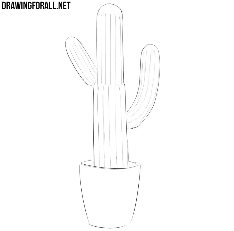 Drawing grooves that follow the rounded surface of the cactus side stems.
