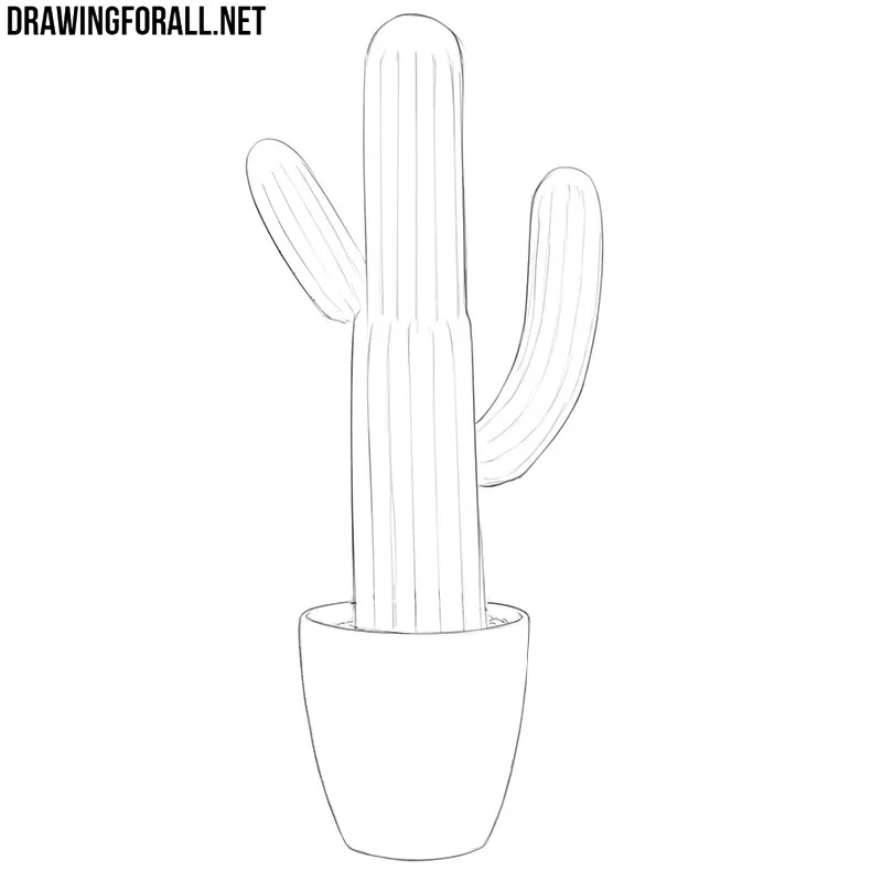Refining the cactus contours and the symmetrical flower pot with a thick elliptical rim.