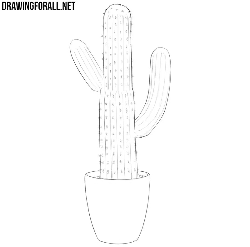 Drawing spines around the cylindrical surface of the central cactus stem.