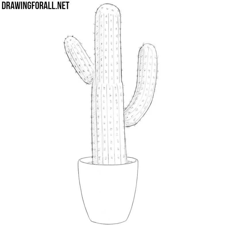 Adding hatching to the shadowed sides of the rounded cactus stems.
