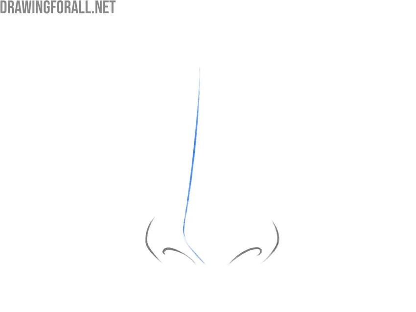 Drawing the curved anime nose bridge and removing the guidelines.