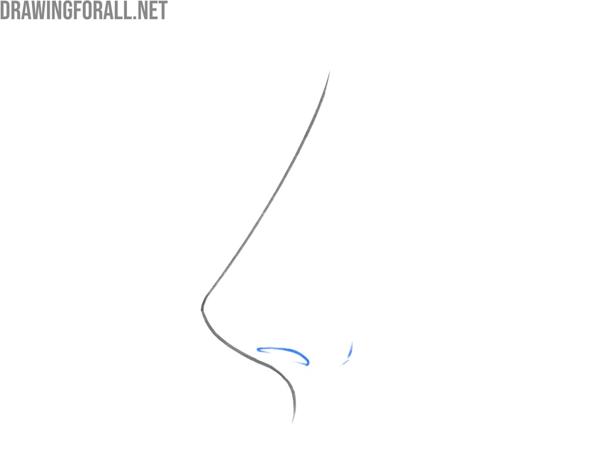 Adding a short curved nostril to the side-view anime nose.