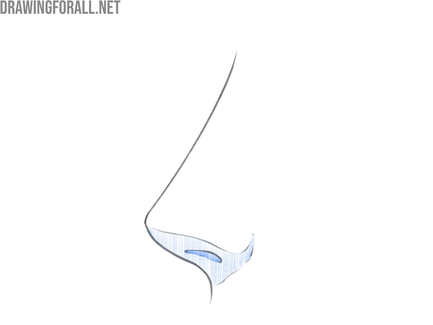 Adding hatched shadows to the lower part of the anime nose profile.