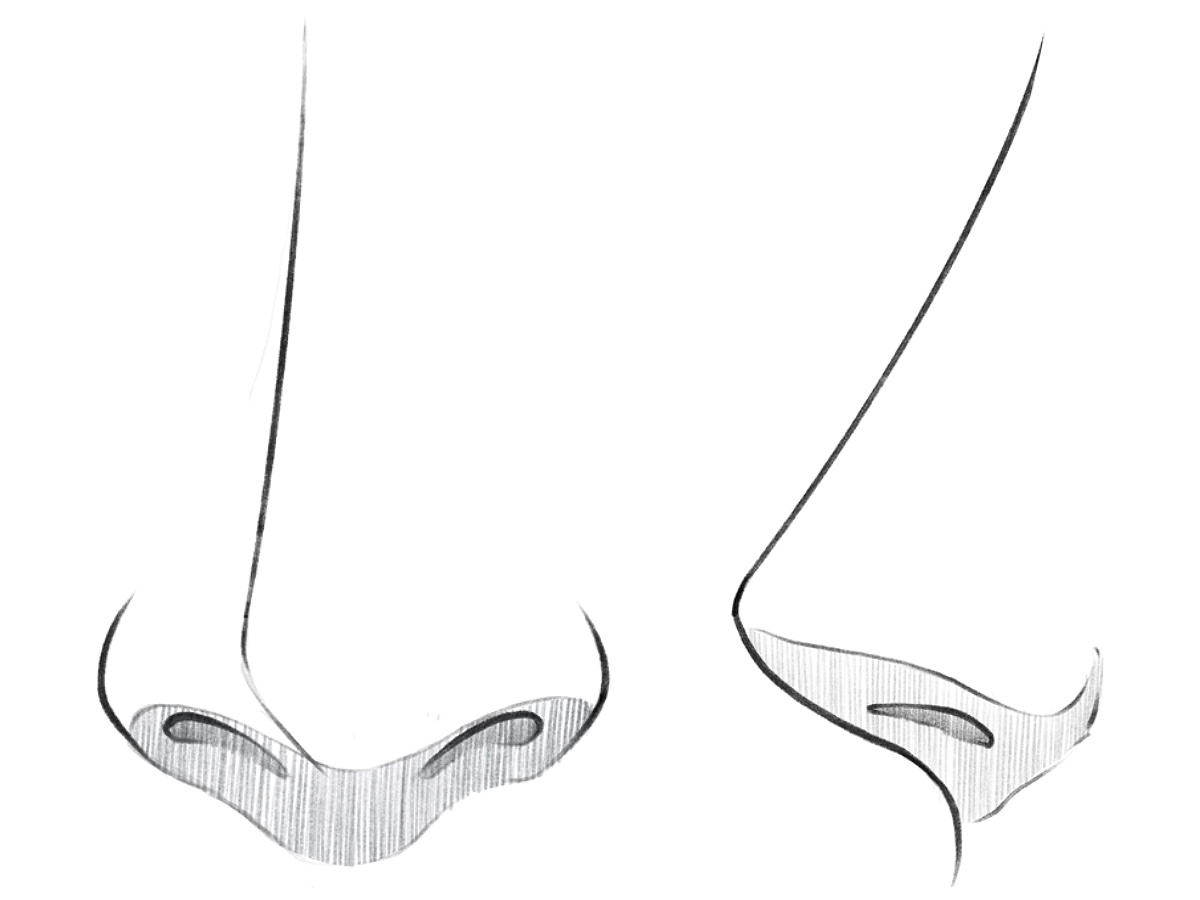 Anime nose drawing with front and side views and simple shading.